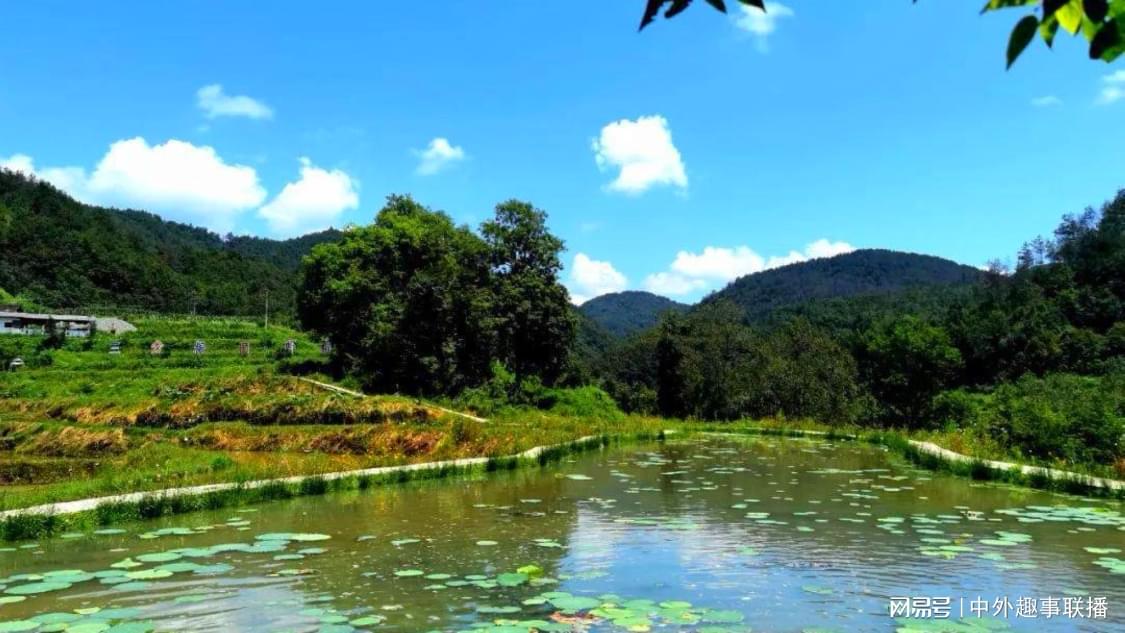 快手快手业务平台：社交聊天短视频内容创作交流平台_快手活粉自助下单平台