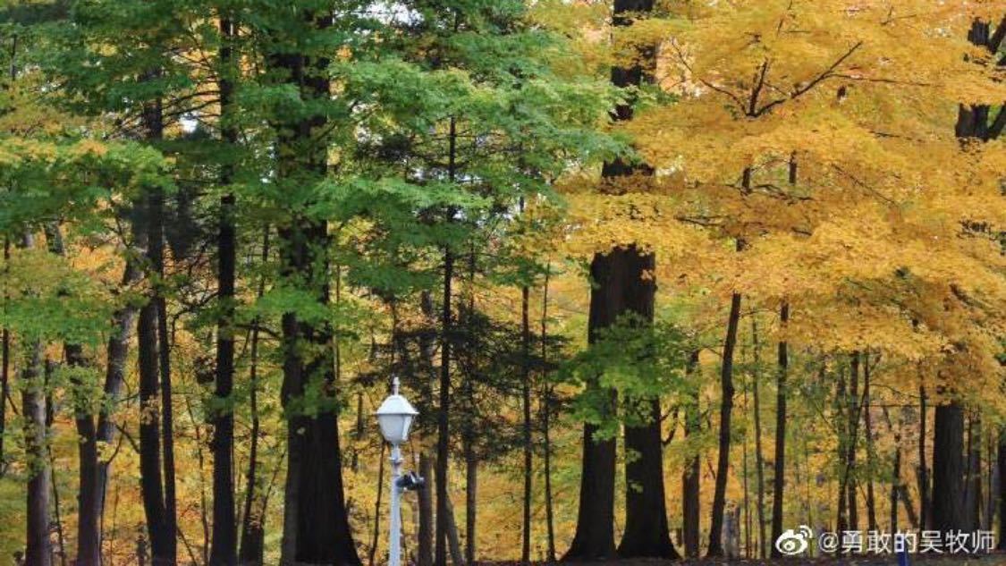 抖音点赞自助平台下单网站便宜：共享互助快速提升互动关注聚人气